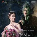 유니버설발레단 잠자는 숲속의 미녀 이미지