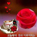 궁창의별