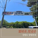 범바우막국수 | 양양 쏠비치 근처 맛집 범바우막국수 본점 내돈내산 후기, 주차 정보까지 정리