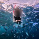 삼보세탁 | Bohol