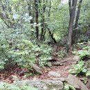 삼전사