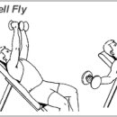 [가슴] 인클라인 덤벨 플라이 (Inclined Dunbbell Fly) - 윗경사에 누워서 아령 날갯짓 이미지