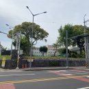 제주 제주여자중학교 미디어제주