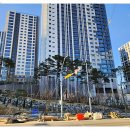 함께하는부동산공인중개사사무소 | 월평한화포레나와 함께하는 신뢰의 부동산 거래 공인중개사사무소