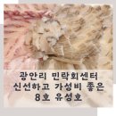 유성호활어회센타 | 가성비 좋은 광안리 회센터 8호 유성호 신선하고 푸짐했던 후기