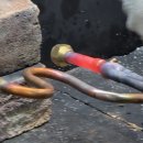 한국중앙교육 이미지