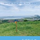 탐라_길에서 역사를 묻다 이미지