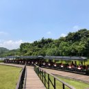 대발목장 | 제주도 한달보다 쪼~~끔 더 살기 둘째날(2019/6/24.제주대명리조트 사우나.오드랑베이커리.에코랜드...