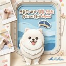 뭉치펫 | 강아지와 배 타고 제주도 가기: 퀸메리호 펫룸 이용 후기
