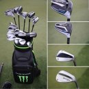 타이거골프클럽 이미지