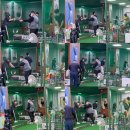 나이스골프 이미지