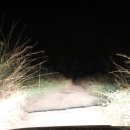 서부특장차 이미지