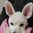 창현동물병원 이미지