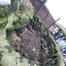 도척농업협동조합 이미지