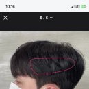 바온헤어
