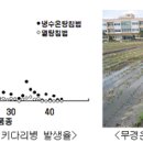 경상 농업소식▒녹색성장 주도할 저탄소 벼 재배기술 개발! 이미지