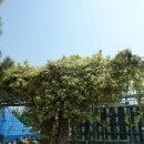 경남자동차고등학교 이미지