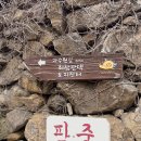 최참판댁대형주차장 이미지