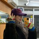 햇쓸까서울 | 보그헤어 신도림역점 - 얼굴 소멸펌 둥근얼굴 인생 단발펌 후기