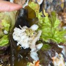 대명횟집 | 부산 기장 맛집 대명횟집 해물모둠 아나고 내돈내산 후기