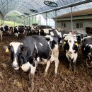 위태목장 이미지