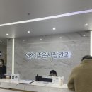 좋은사람 | 부산 서면 좋은사람안과 스마일라식 내돈내산 솔직후기