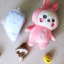 호텔펫코리아 | 인천 서구 애견호텔, 호텔펫코리아에 하미 하루 맡겨본 후기