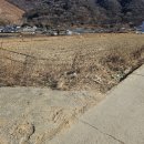 호박부동산중개사무소 이미지