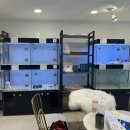 예쁘댕냥 이미지