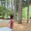 봉평마가리 캠핑장 | 여름 폭염엔 강원도 캠핑이 최고!! 계곡캠핑장, 평창 마가리캠핑장. 아이랑 가기 좋은 캠핑장.