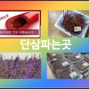 장재기농장 네이버블로그