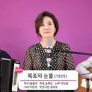 트로트 샛별 정서주 님의 역사 과목 혐오는 안타깝군요. 이미지