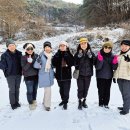 안동봉정사 부용대 병산서원 선비길 하회마을 역사탐방 24,12,21 이미지