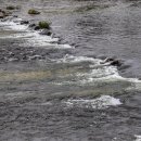 마치세월교 이미지