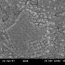 오복광택 이미지