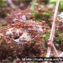 백두산렌트카 이미지