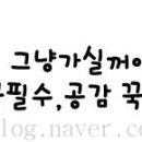 수원-0540 네이버블로그