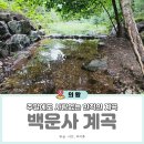백운사 | 수원 근교 계곡 의왕 백운사 계곡 주말 방문후기
