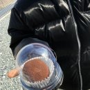루티니아 | 아산 스파게티 맛집 루티니아 솔직후기