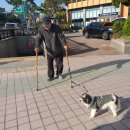 아롱이네 농장 이미지