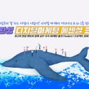 도와세움 평생교육센터