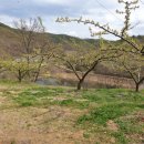 안평농장 이미지