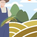 진안 인삼재배 문화 이미지