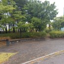 솔올정원 이미지