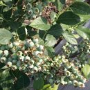 시온농장 이미지