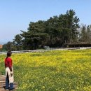 수호목장 이미지