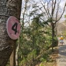 도심건강길 7길 이미지