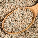 주식회사 퍼플오션 이미지