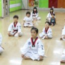 행복한 백호 태권도 이미지