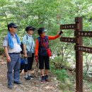 삼척 활기 치유의 숲 이미지